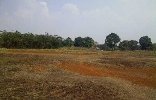 Dijual Tanah Lokasi Strategis Seluas 8 Hektar di Karawang P0109