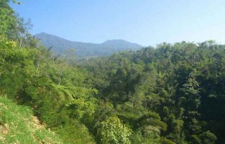 Land for sale 190 Are in Tiyingan, Bali AG506