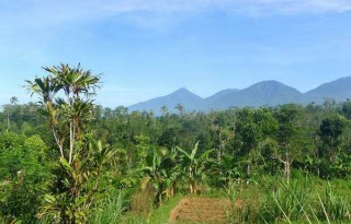 Land For Sale 8200 Meter in Petang Bali, Proximity Ubud AG508