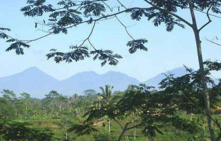 Pupuan Land For Sale in Bali, 30 minutes North of Ubud AG507