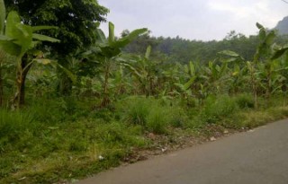 Dijual Tanah 8015 Meter di Belakang Perumahan Bukit Sentul, Bogor P0924