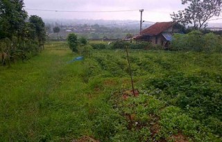 Dijual Tanah Luas 3.300 Meter View Bukit di Cisarua, Bogor AG511