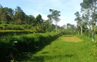 Dijual Tanah 82 Are di Petang, Utara Ubud, Bali AG571