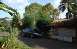 Dijual Kebun Duren 2000 Meter Strategis di Parung Kuda, Sukabumi PR1009