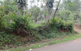 Jual Tanah 5000 Meter Pinggir Jalan Besar Hot Mix di Jonggol, Bogor PR1038