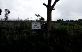 Dijual Tanah 1000 Meter di Daerah Punclut, Lembang, Bandung Barat PR1155