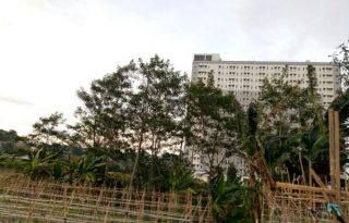 Jual Tanah Cocok Untuk Rumah dan Kost Dekat IPB Dramaga Bogor P0324