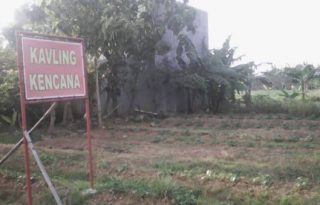 Dijual Tanah Kavling Luas 117 M2 Desa Sriamur Tambun Utara, Bekasi PR1470