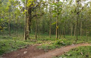 Dijual Cepat Tanah 30.797 m2 di Maja, Lebak – Banten PR1894