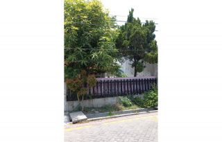Jual Tanah Beserta Bangunan di Petemon Sidomulyo, Surabaya PR1826
