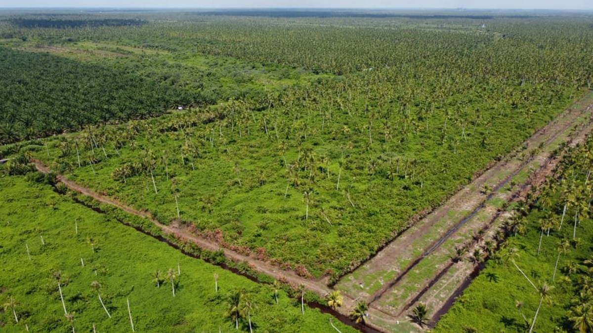 Jual Tanah Luas 30 Hektar di Mempawah, Kalimantan Barat AG2014